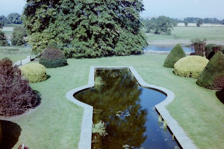 Landscaping York design that features a garden pond with water-based plants and garden shrubbery planned and installed by our landscaping team.