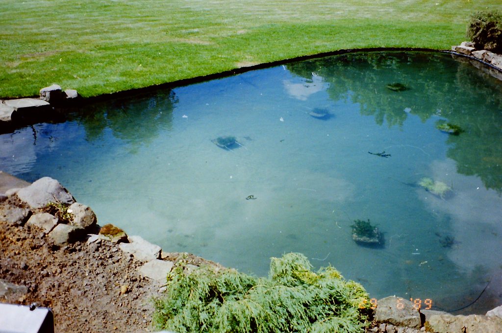 Rockery style garden pond with waterfall and lawn edging for easy access.