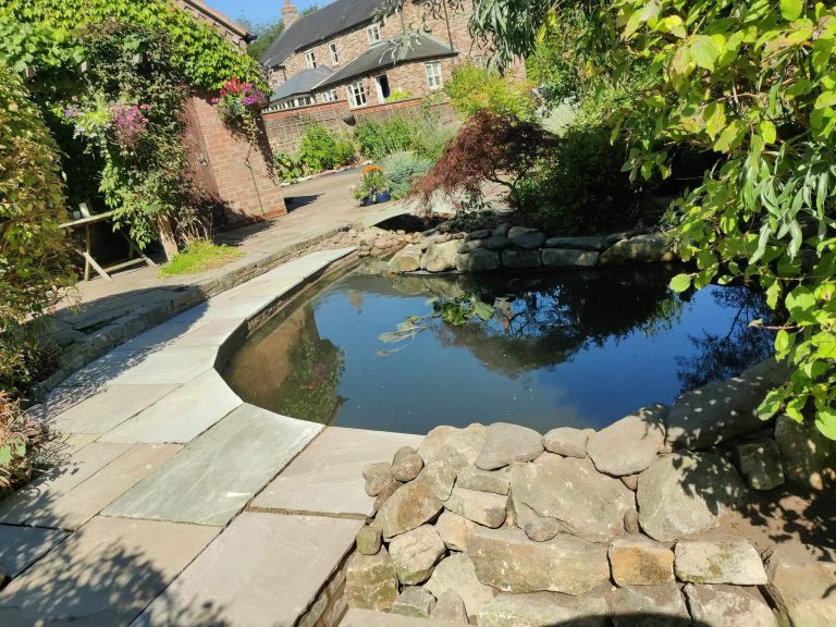 A small garden pond surrounded by greenery and paving planned and installed by our landscapers