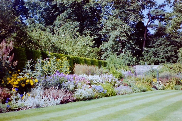 Landscape Planting By Rylands Horticulture Ltd