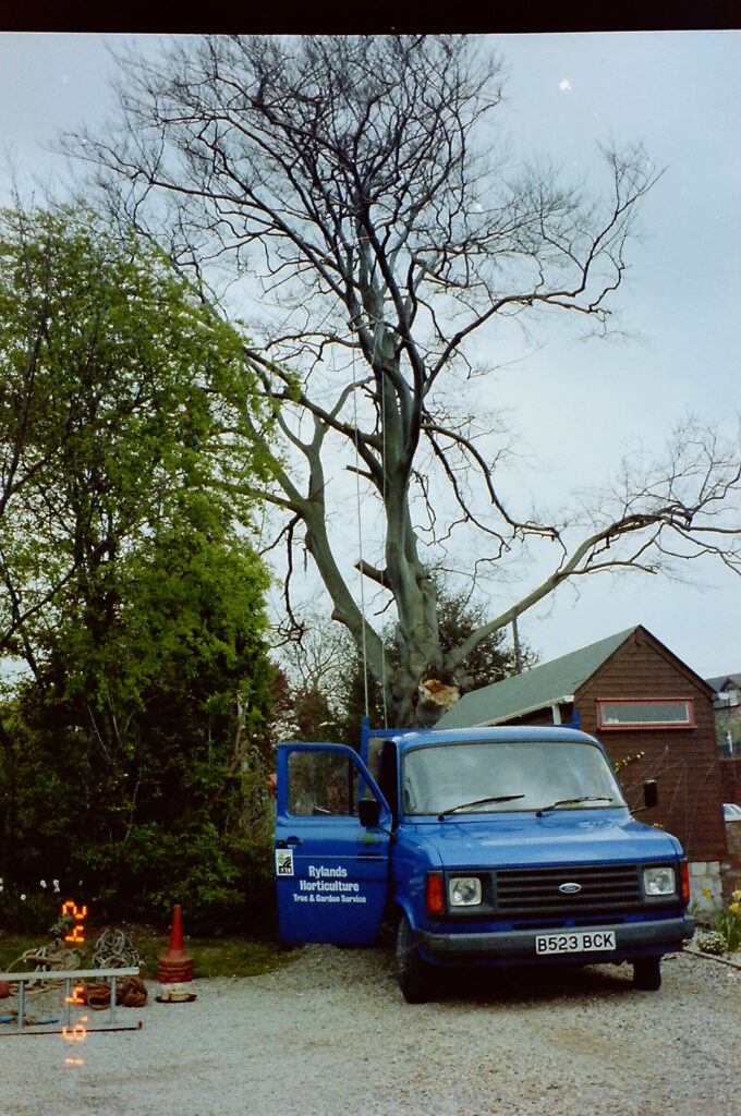 Ryland Horticulture Ltd. Historical Tree Works.. est.1983 onwards…