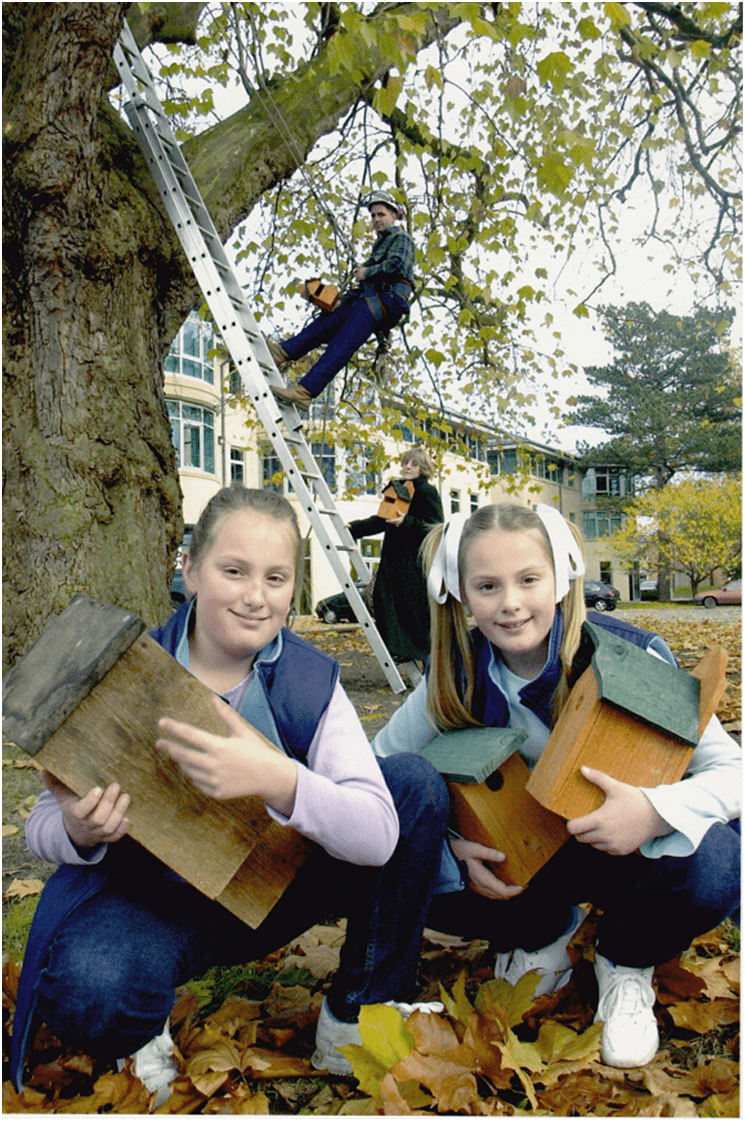 Crickey what have we done!!!